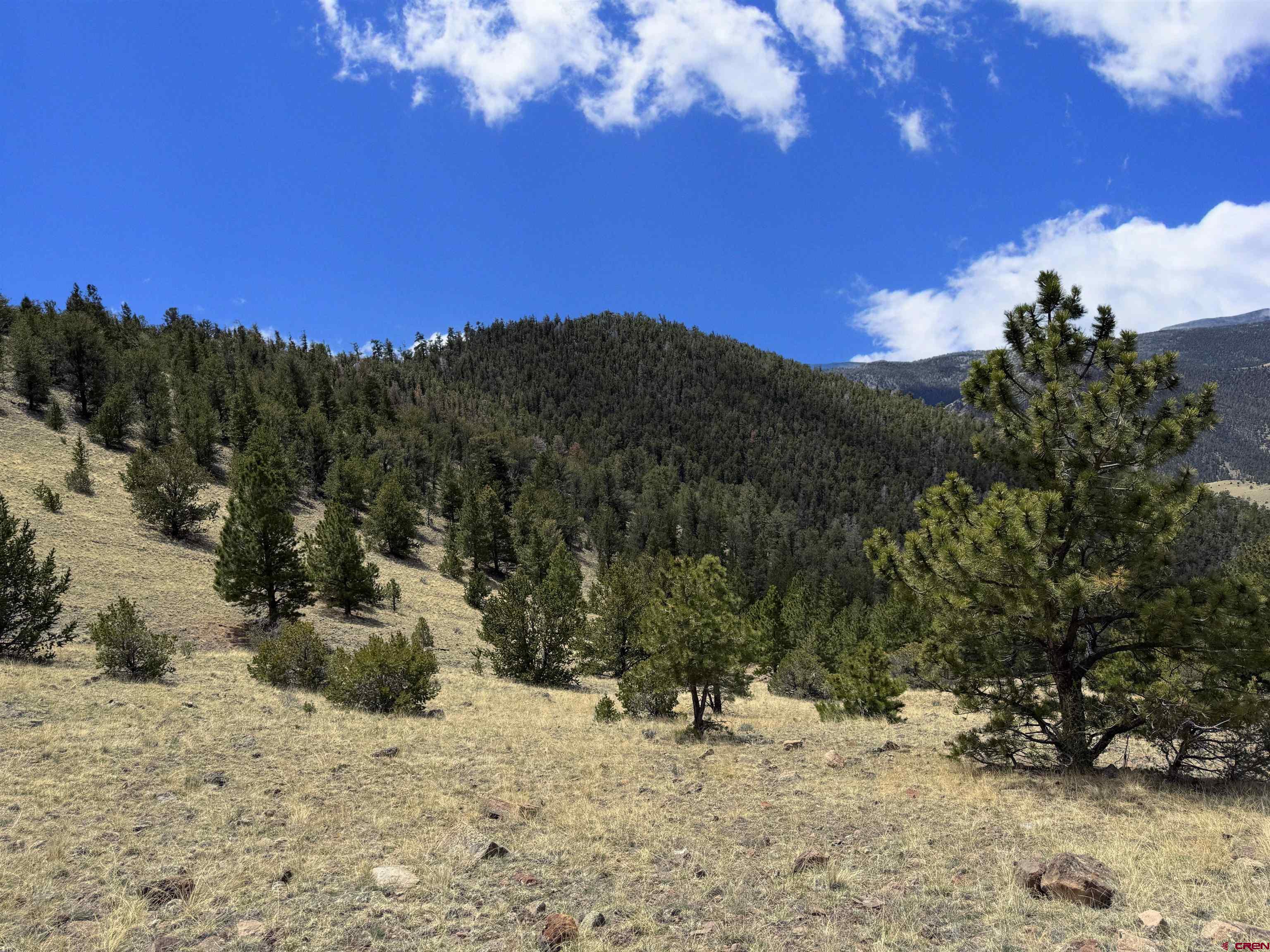 Tbd Tbd Tbd La Del Norte, CO 81132 - Photo 10 of 10 a view of a covered with snow in the background