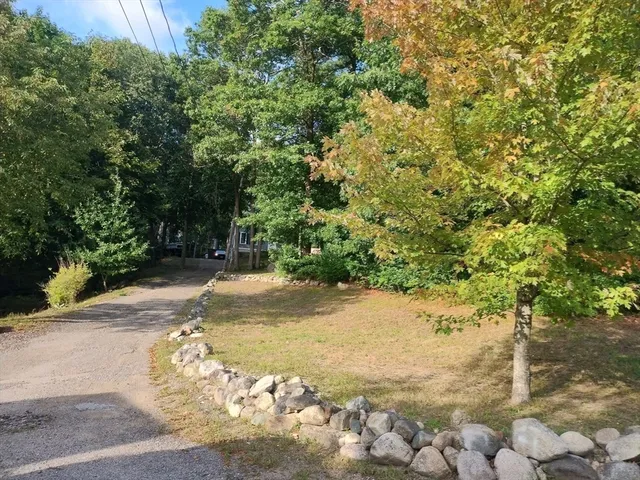 a view of a yard with plants and trees