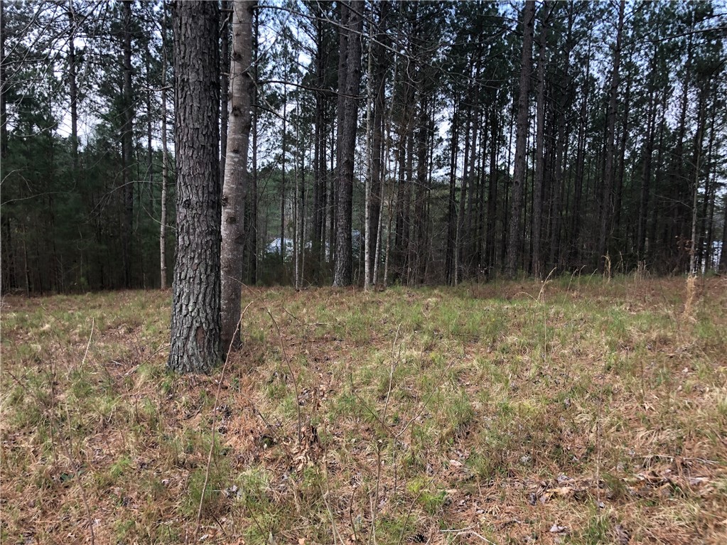 2-56 Spring Cove Way Six Mile, SC 29682 - Photo 1 of 9 Gallery Image 1