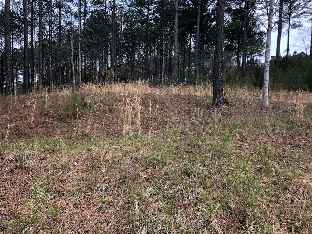 2-56 Spring Cove Way Six Mile, SC 29682 - Photo 2 of 9 Gallery Image 2