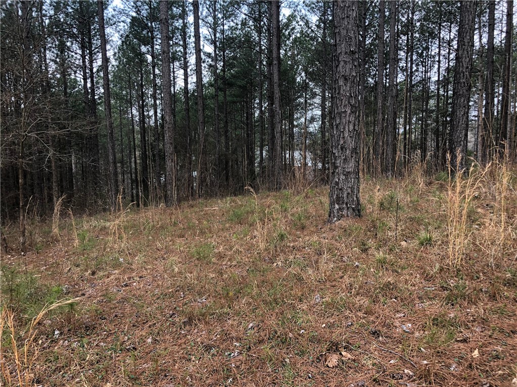 2-56 Spring Cove Way Six Mile, SC 29682 - Photo 5 of 9 Gallery Image 5