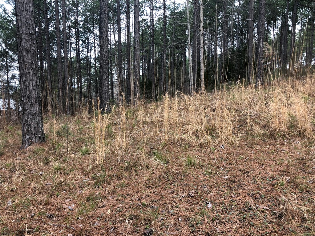 2-56 Spring Cove Way Six Mile, SC 29682 - Photo 6 of 9 Gallery Image 6