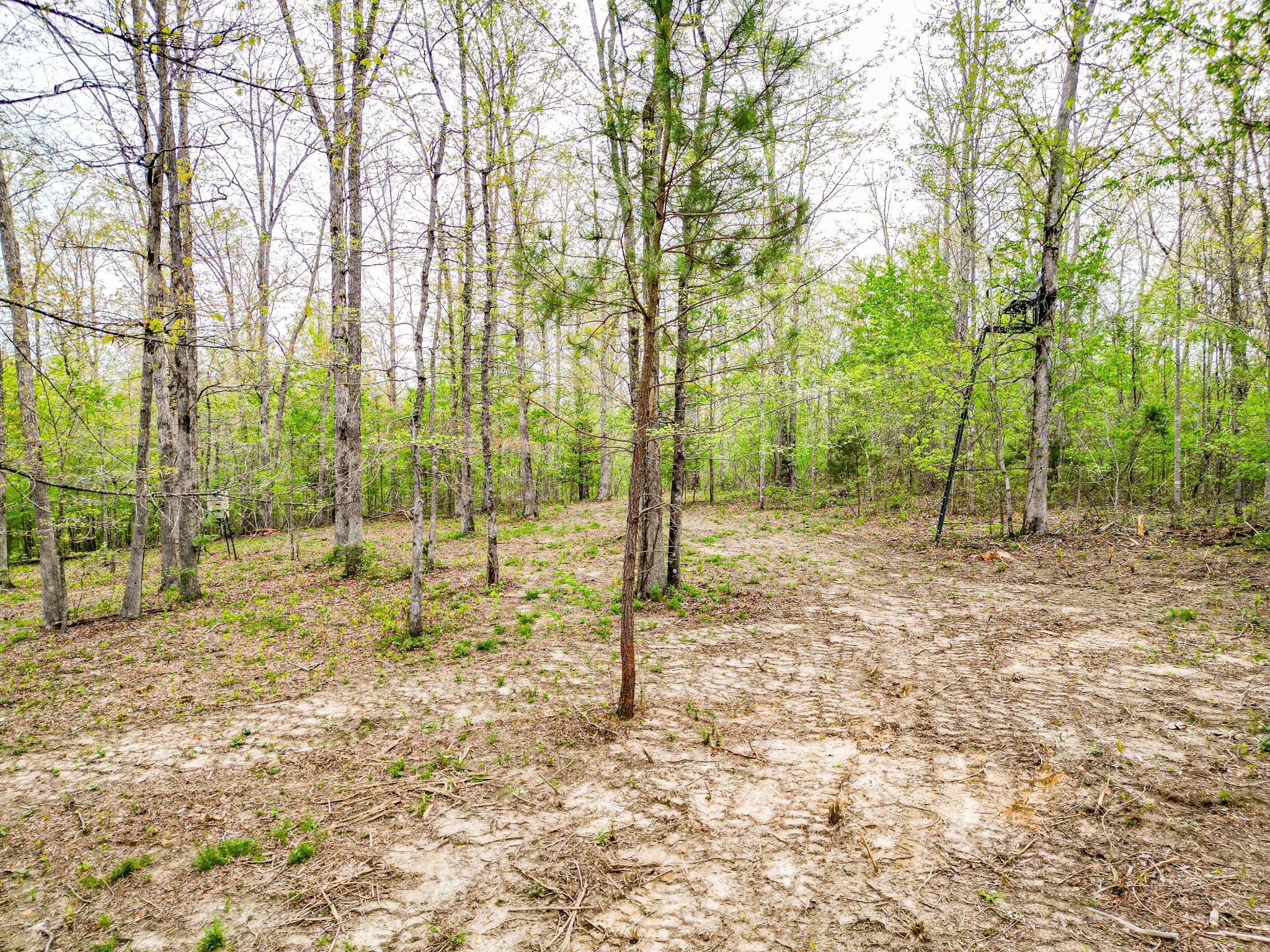 920 Mason Bates Bend Road Centerville, TN 37033 - Photo 69 of 82 Gallery Image 69