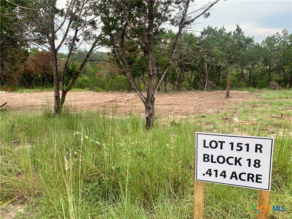 Lot 151 Stagecoach Trail Spring Branch Spring Branch, TX 78070 - Photo 3 of 15