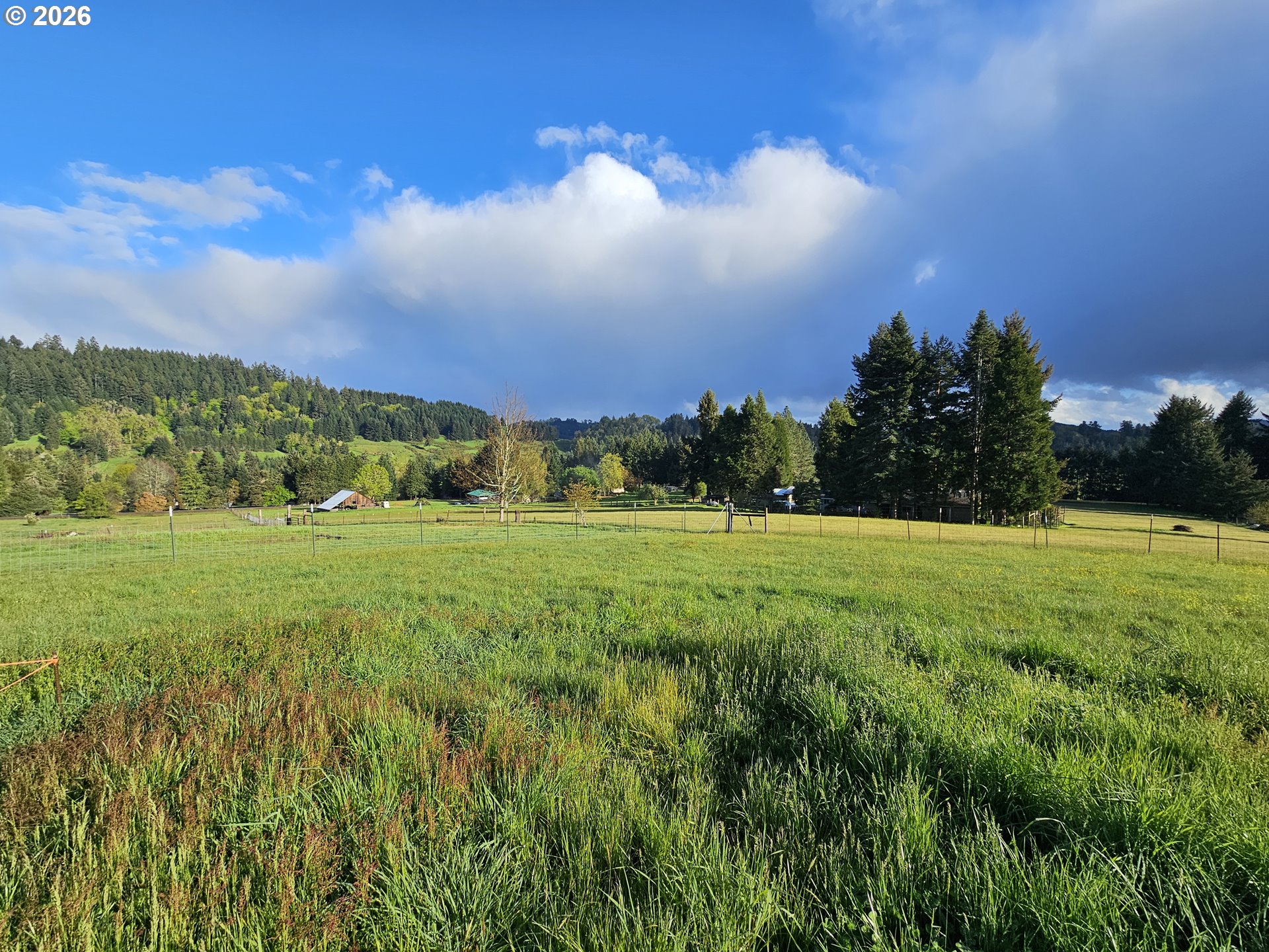 2370 Azalea Drive Elkton, OR 97436 - Photo 1 of 11 a view of a building with green field