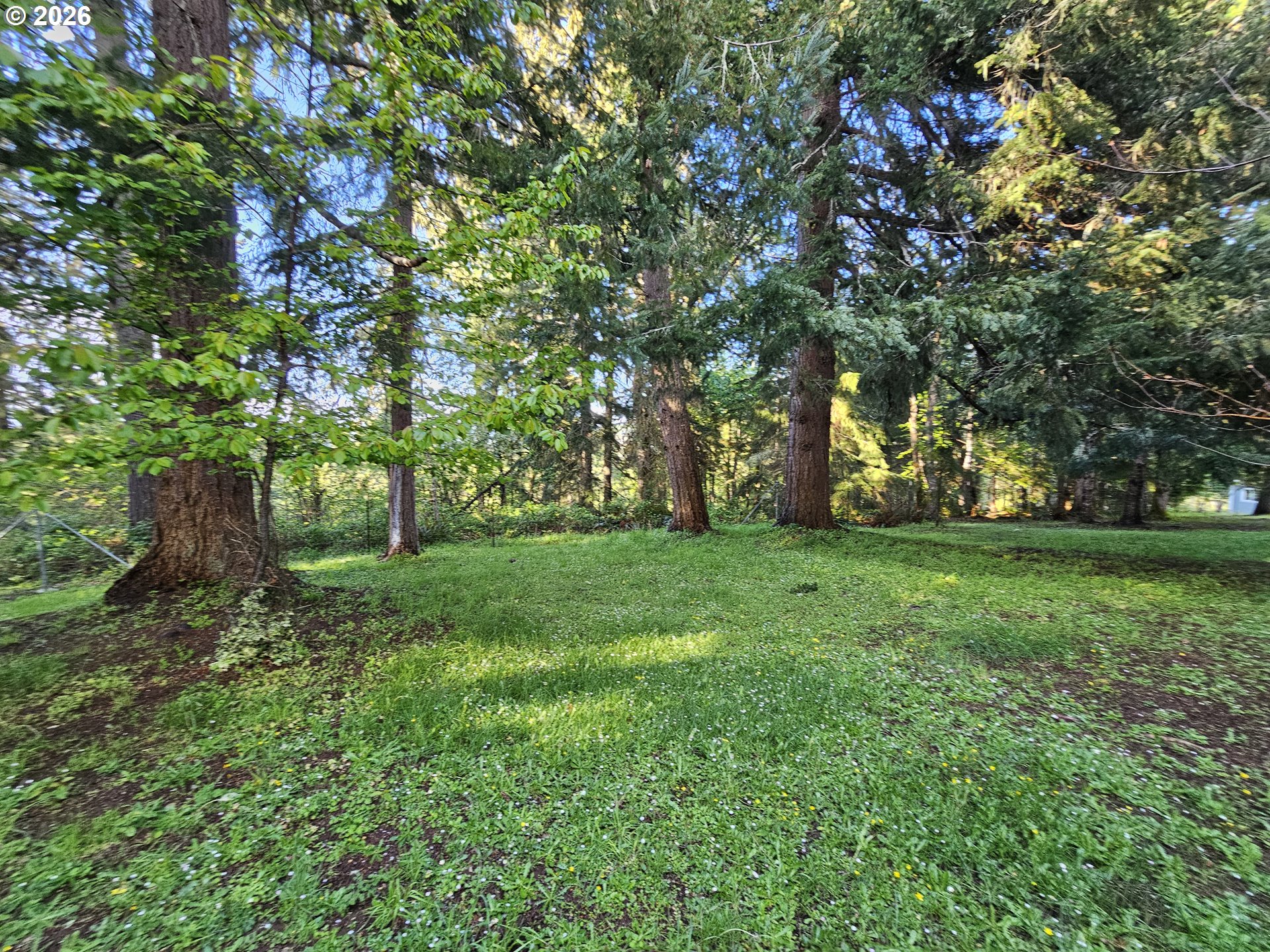 2370 Azalea Drive Elkton, OR 97436 - Photo 5 of 11 a view of green field
