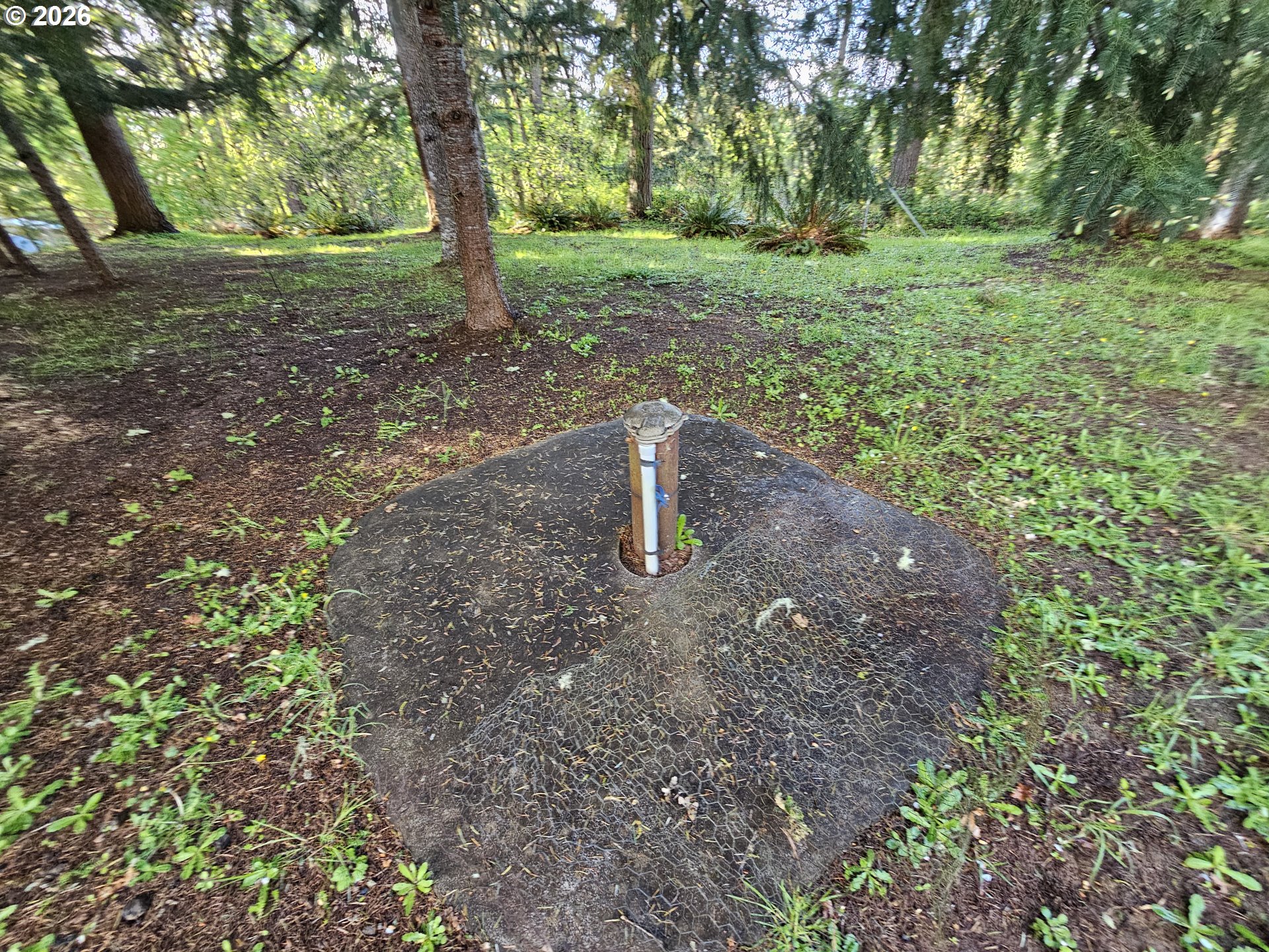 2370 Azalea Drive Elkton, OR 97436 - Photo 6 of 11 a big yard with lots of green space and plants