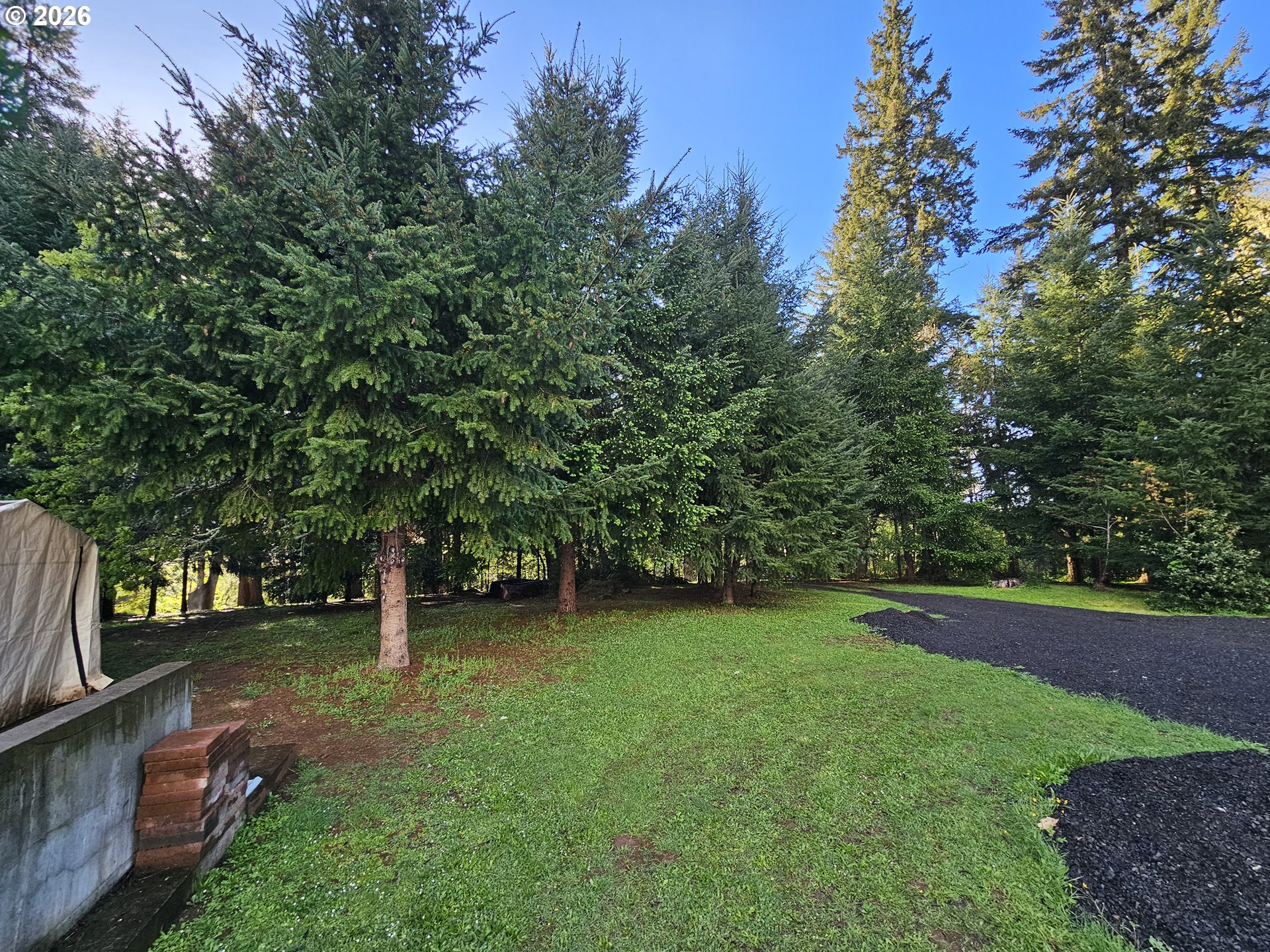 2370 Azalea Drive Elkton, OR 97436 - Photo 8 of 11 a view of a backyard with a trees