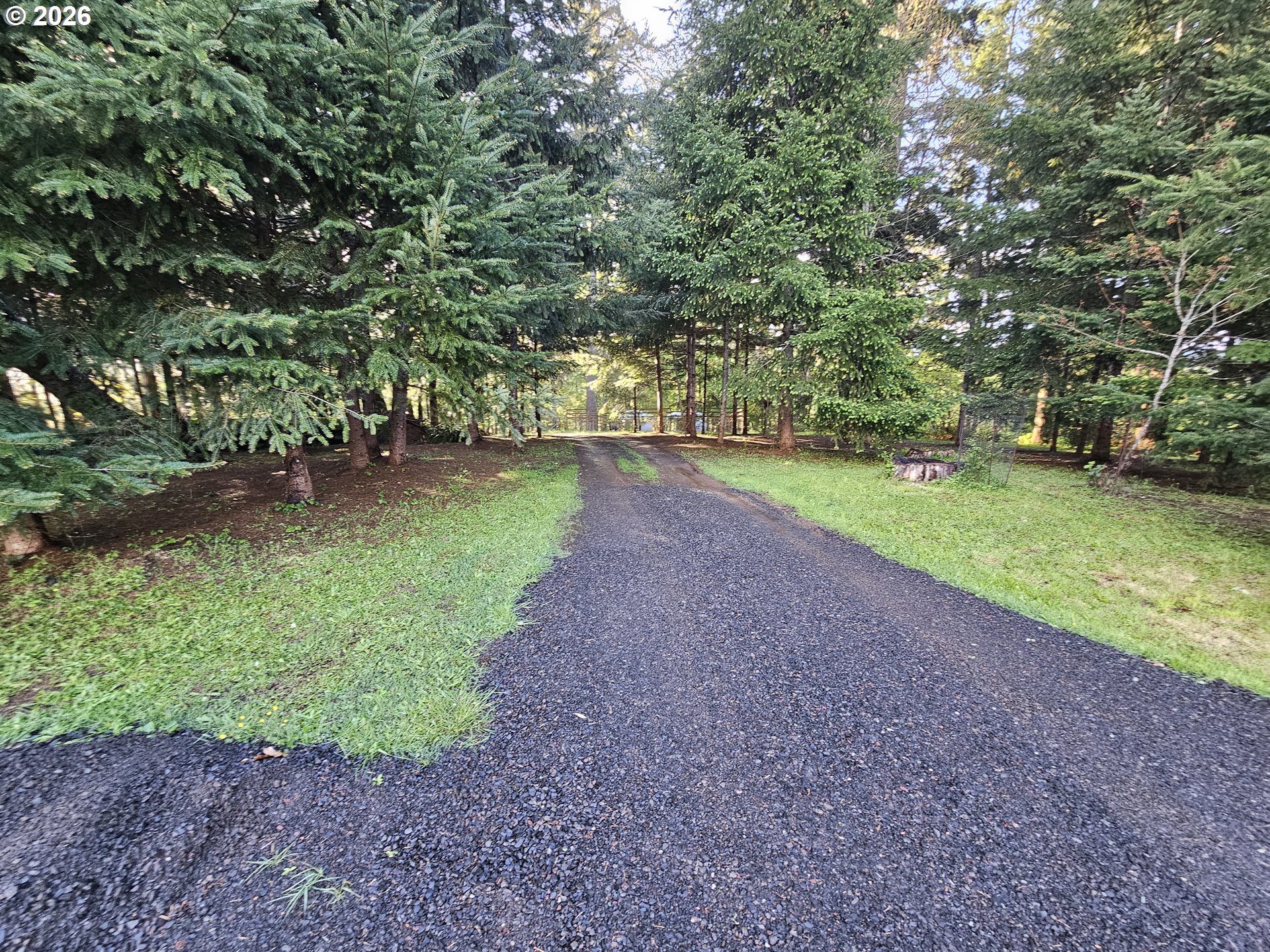 2370 Azalea Drive Elkton, OR 97436 - Photo 9 of 11 a view of a yard with a tree