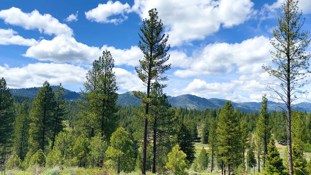 1 Harris Creek Road Idaho City, ID 83631 - Photo 6 of 32