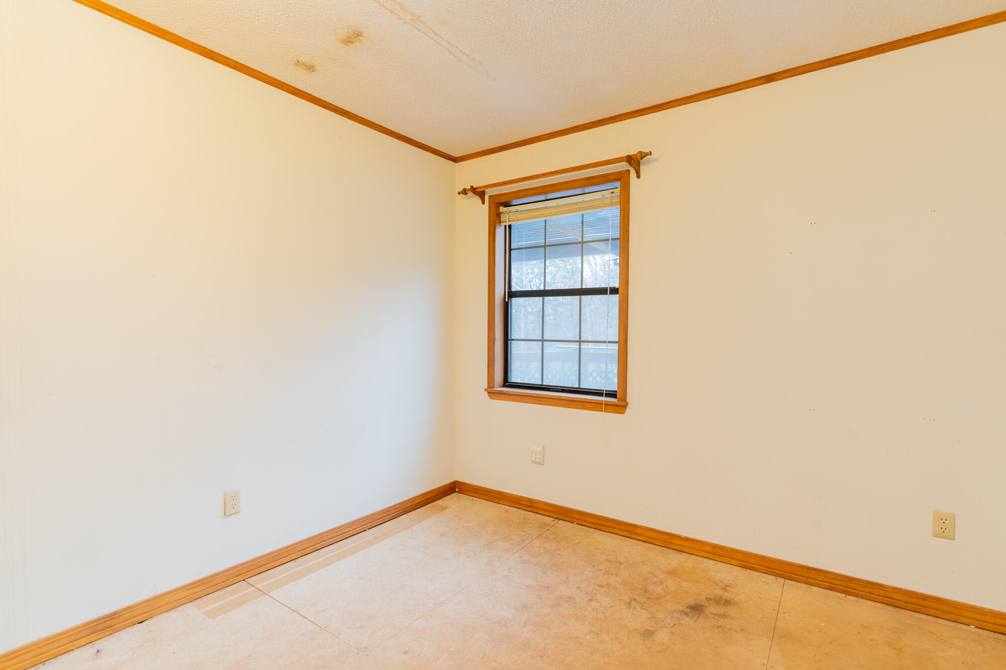 801 Tram Trail Dunlap, TN 37327 - Photo 33 of 80 Downstairs room