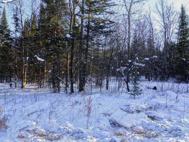 Lot 2 Coveyville Road Phelps, WI 54554 - Photo 5 of 13 Gallery Image 5