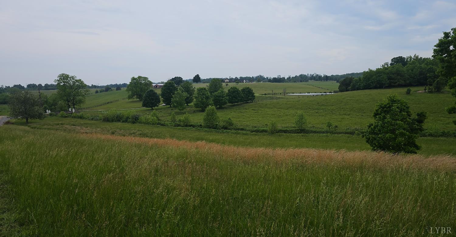 2205 New London Road Forest, VA 24551 - Photo 4 of 14