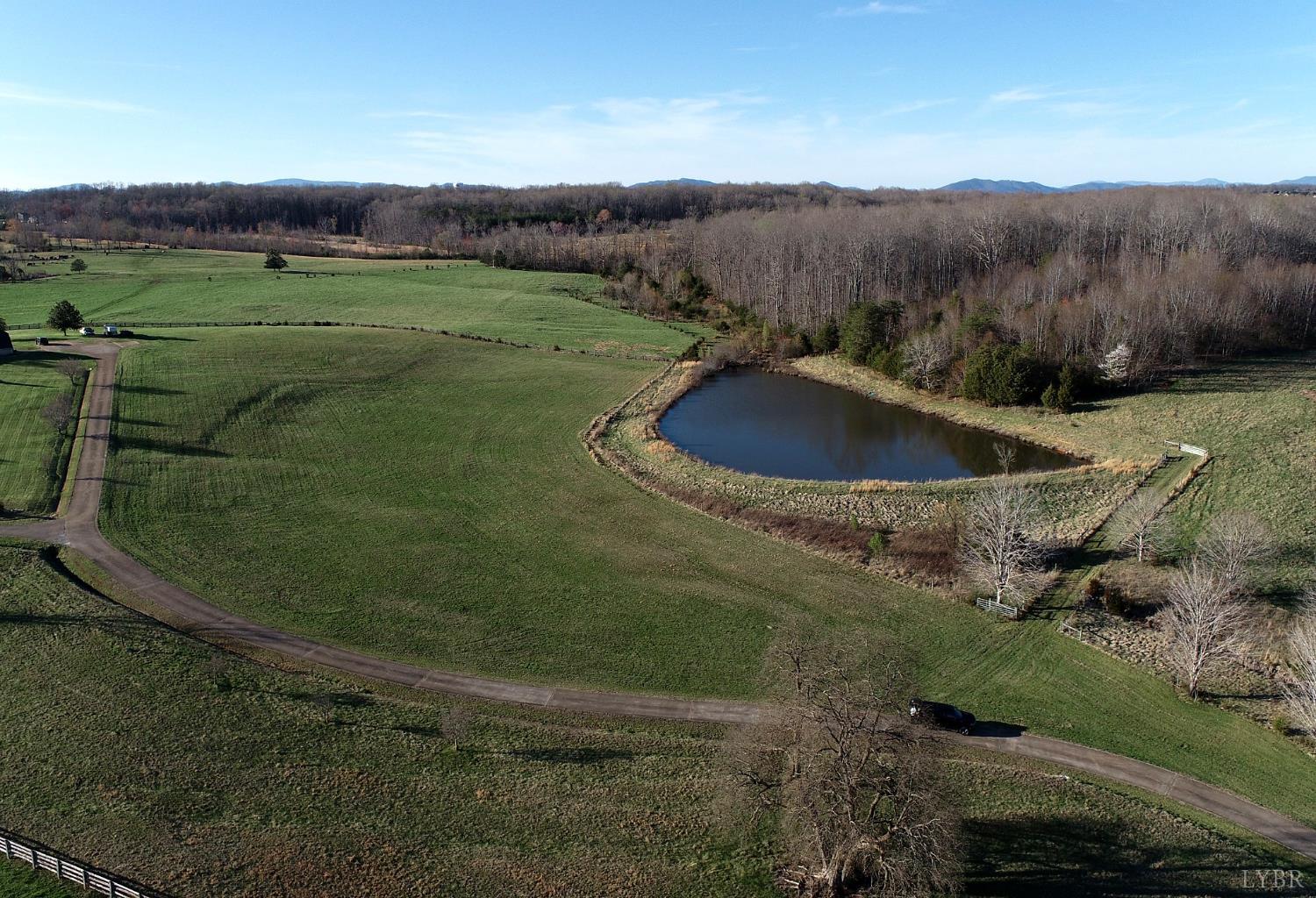 2205 New London Road Forest, VA 24551 - Photo 8 of 14
