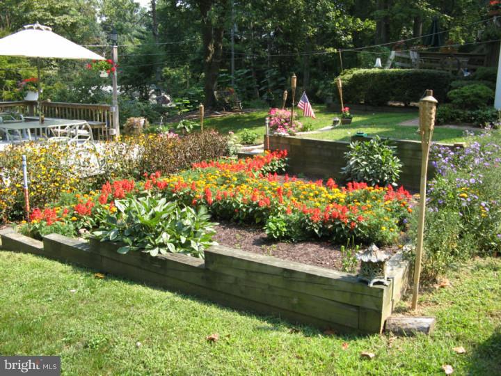 113 Viola Road Phoenixville, PA 19460 - Photo 14 of 19 Back Yard
