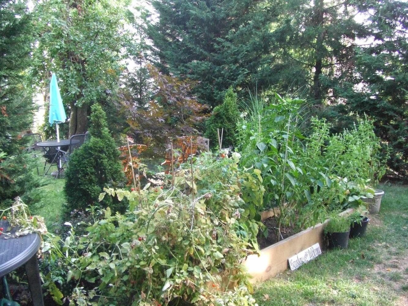 334 Paterson Plank Road, Unit 1 Jersey City, NJ 07307 - Photo 19 of 20 a backyard of a house with lots of green space and fountain