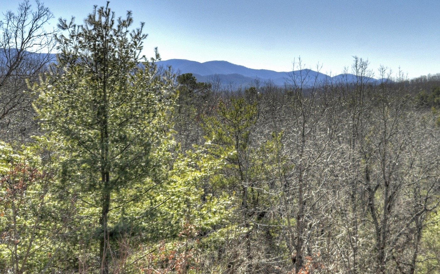 221 Foxfire Road Blue Ridge, GA 30513 - Photo 2 of 48 Additional View