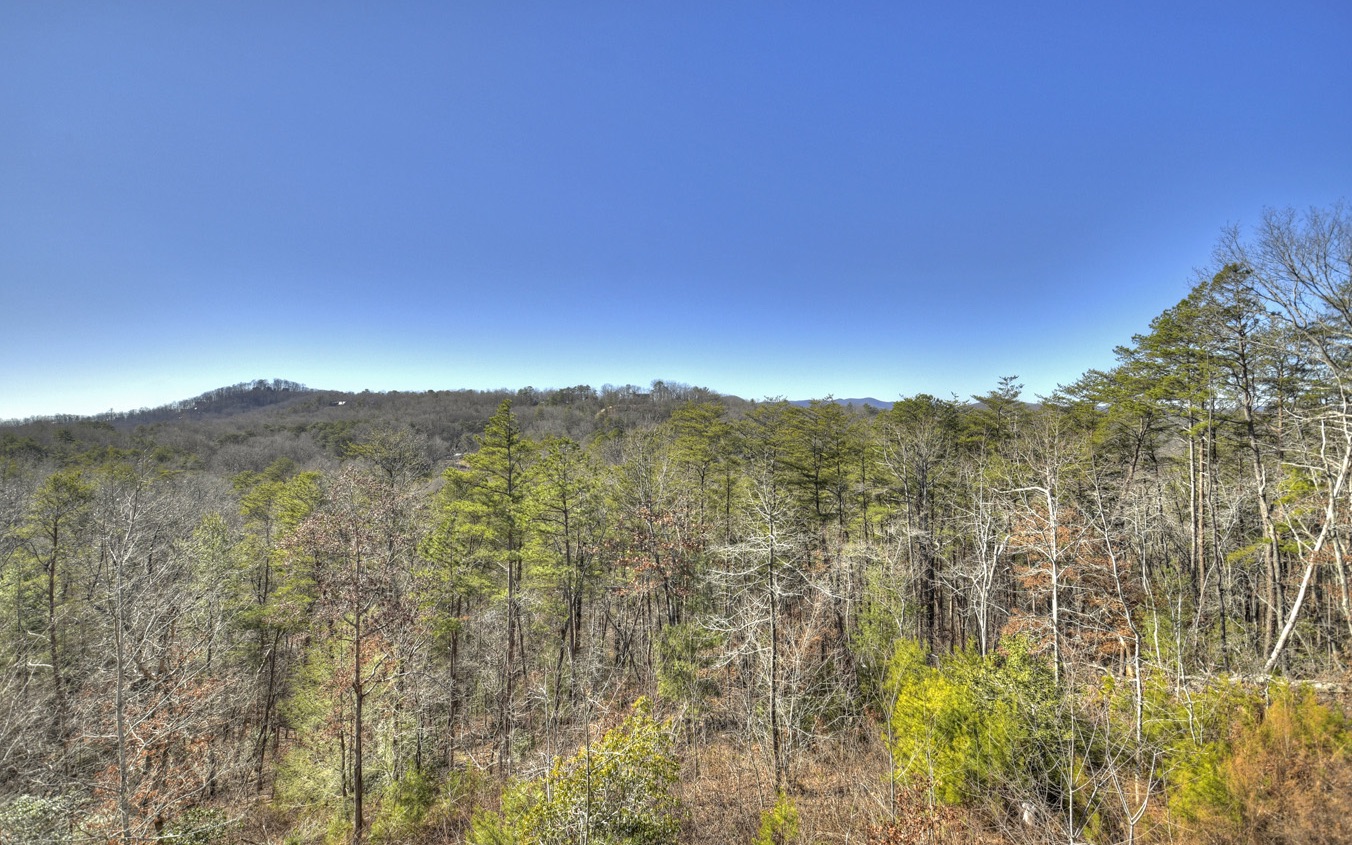 221 Foxfire Road Blue Ridge, GA 30513 - Photo 43 of 48 Additional View