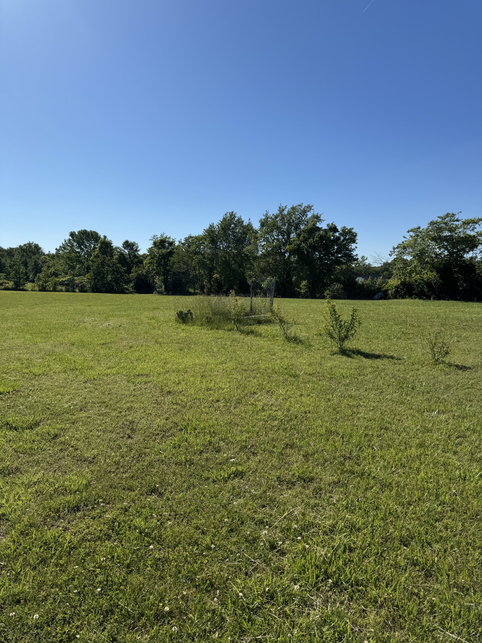 4602 Washington Road Springfield, TN 37172 - Photo 1 of 1