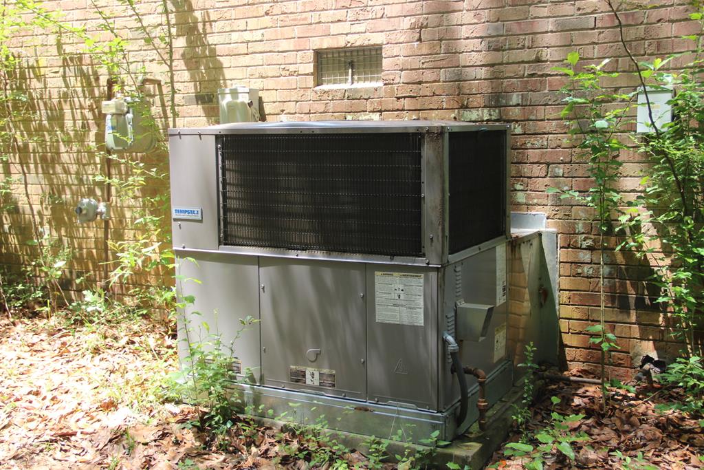 79 Pierce Boozer Loop Prosperity, SC 29127 - Photo 4 of 19