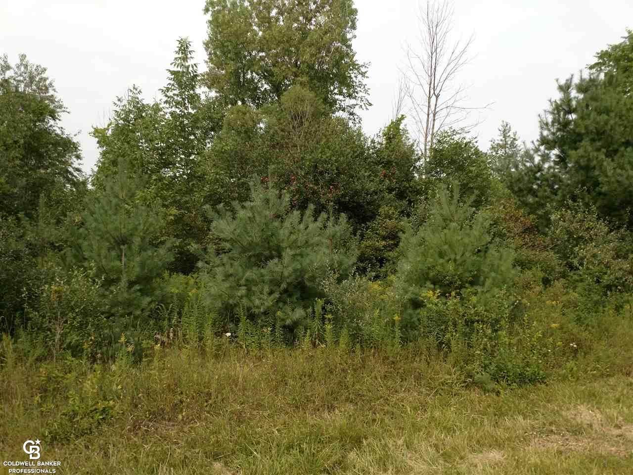 East Galbraith Line Road Melvin, MI 48454 - Photo 10 of 10