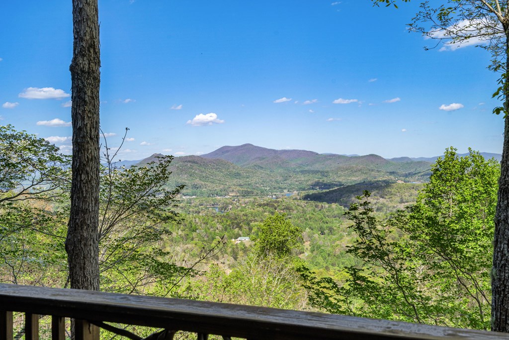 1689 Long Ridge Road Hiawassee, GA 30546 - Photo 21 of 56
