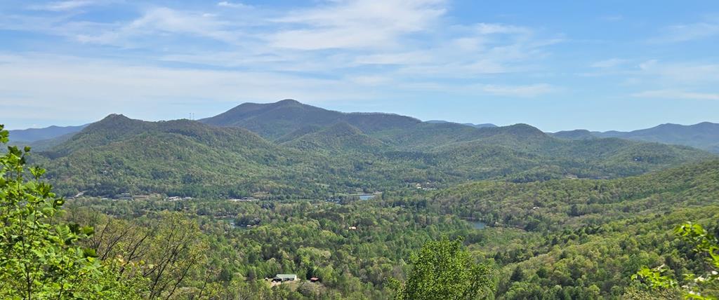 1689 Long Ridge Road Hiawassee, GA 30546 - Photo 3 of 56