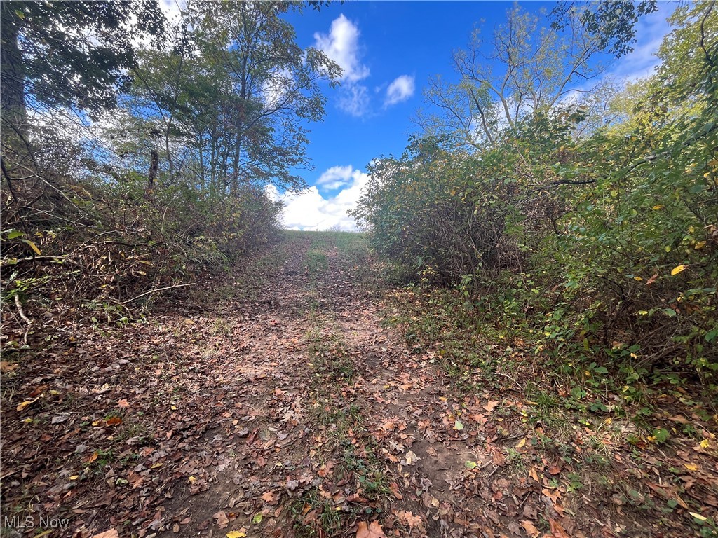 71330 Old Twenty One Road Kimbolton, OH 43749 - Photo 25 of 49