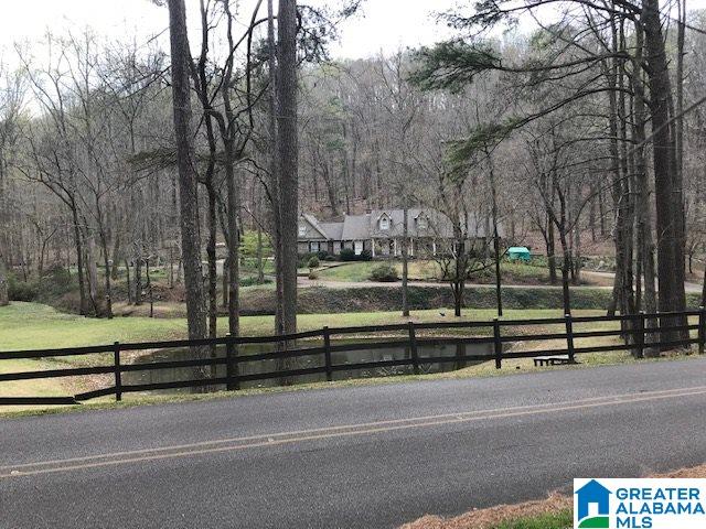 8607 Zuber Road, Unit 22 65 ACRES Springville, AL 35146 - Photo 2 of 9