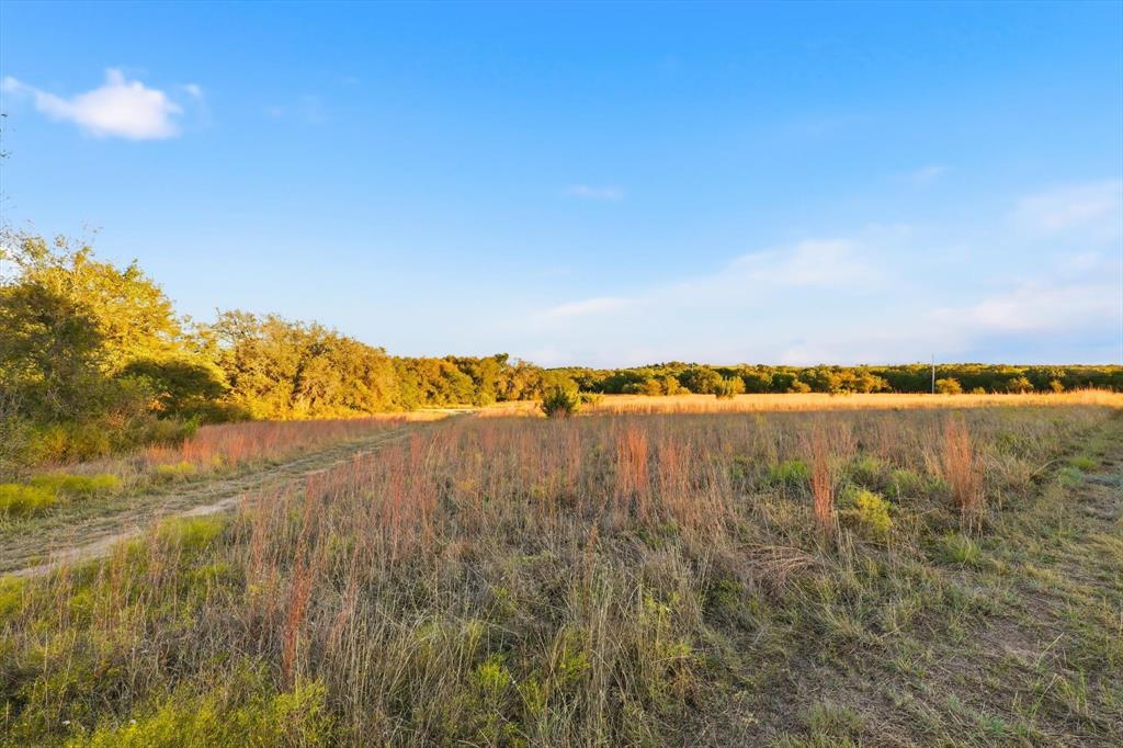 2401 Bear Creek Road Aledo, TX 76008 - Photo 21 of 37 View of undeveloped land with rural landscape