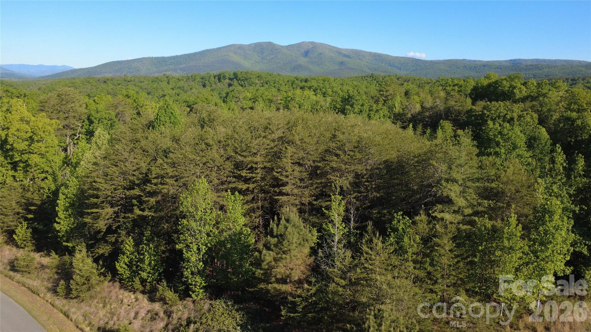 431 Ridge Point Road, Unit 7 Nebo, NC 28761 - Photo 6 of 20