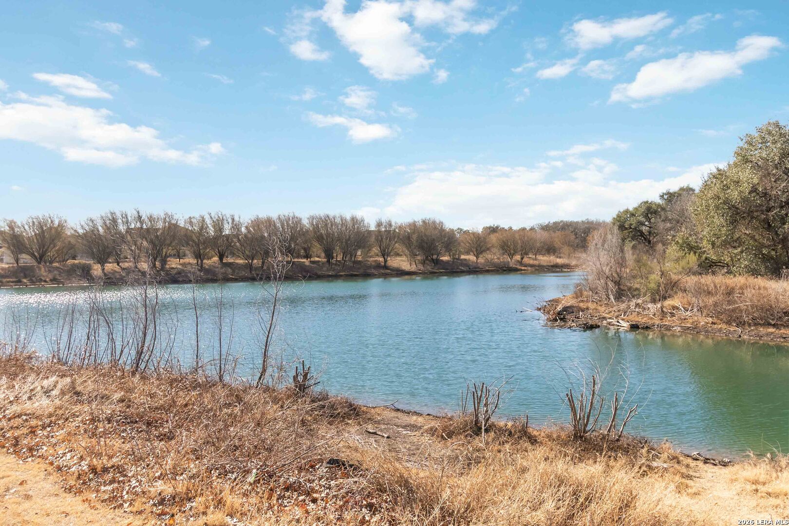 8024 Trail Grant Schertz, TX 78154 - Photo 17 of 20 a view of a lake with houses in the background