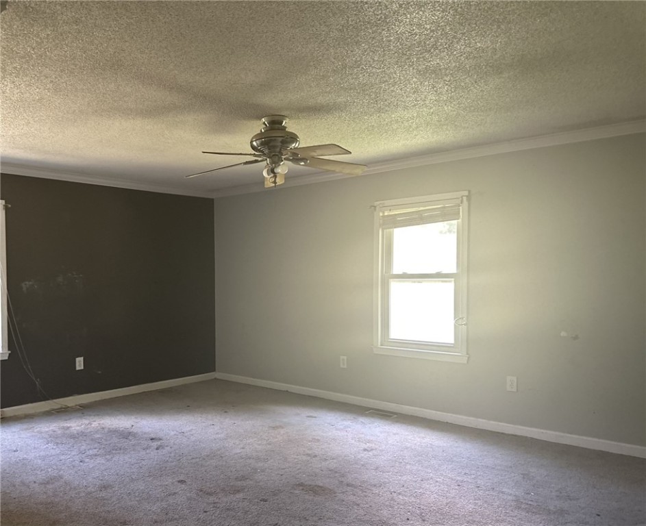 7768 Ekom Beach Road Ware Shoals, SC 29692 - Photo 9 of 13