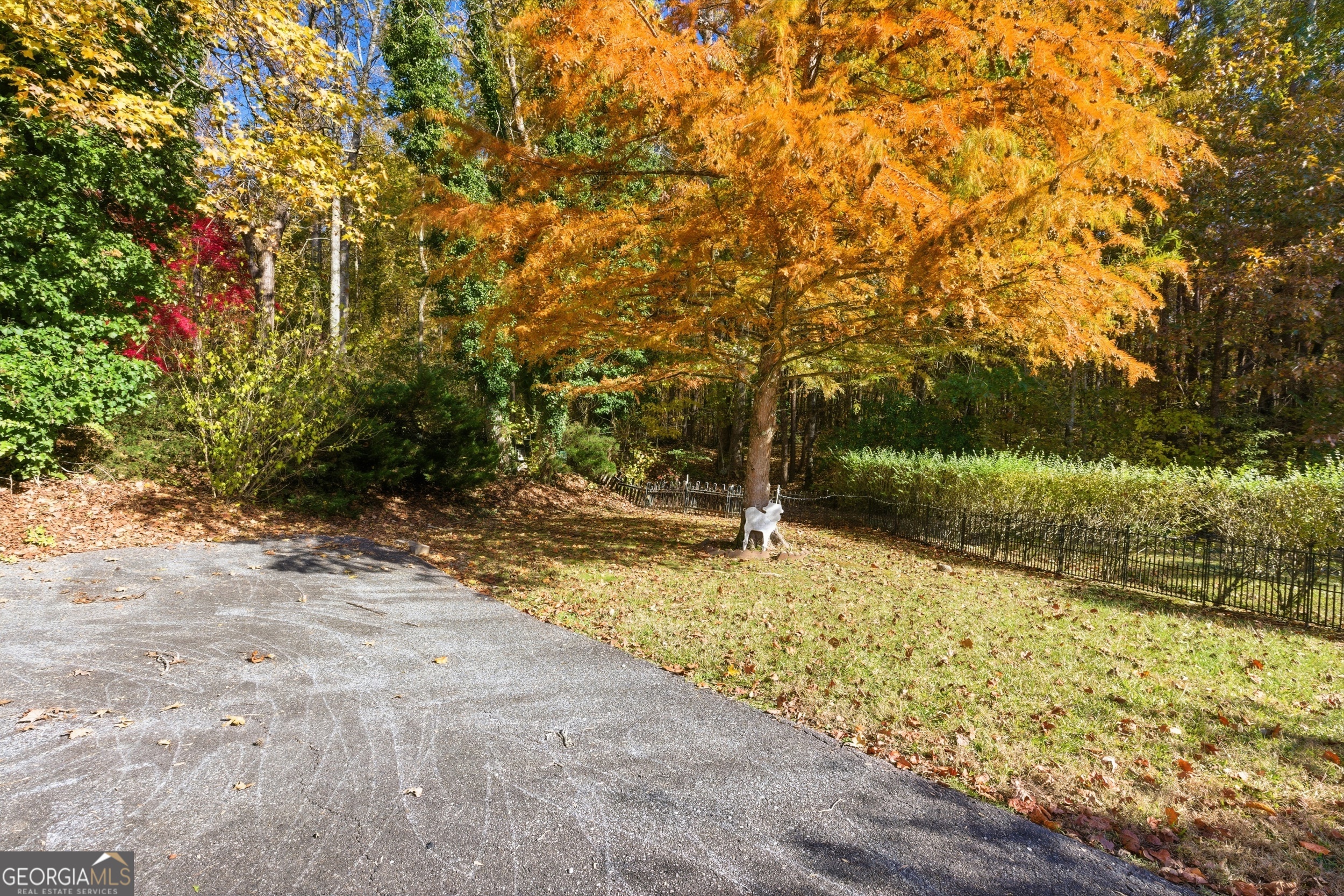 105 Holiday Loop Cleveland, GA 30528 - Photo 33 of 41 a view of a yard with a tree