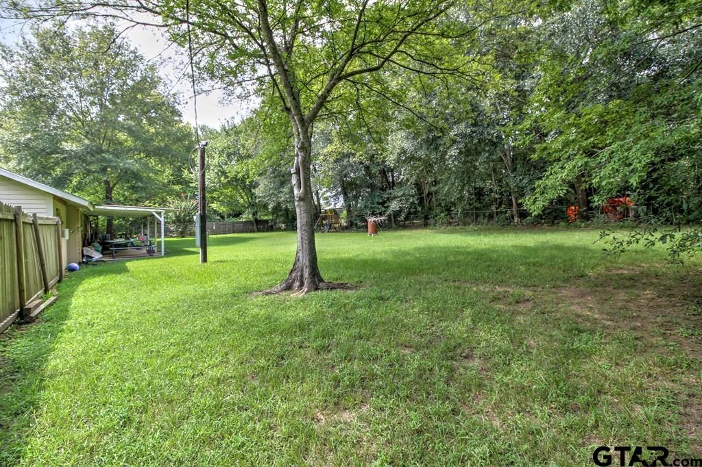 239 Homer Road Wells, TX 75976 - Photo 3 of 21