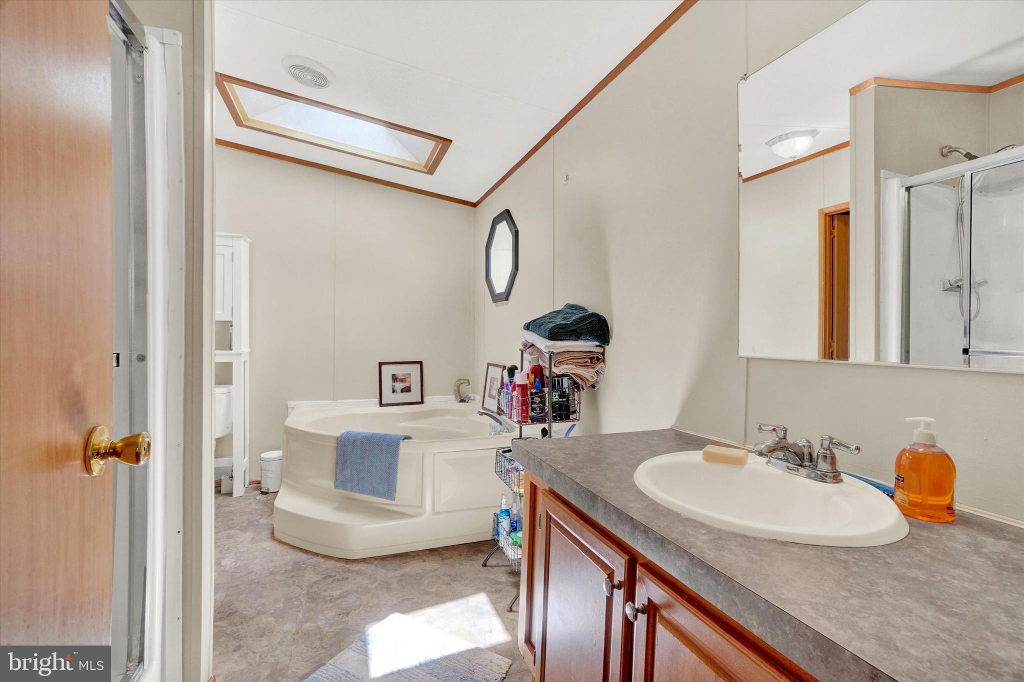 700 Cassel Road, Unit 132 Manchester, PA 17345 - Photo 20 of 26 a bathroom with a sink and a mirror
