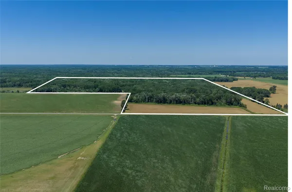 $885,000 | 0 Dodge Road, Cass City, MI 48726