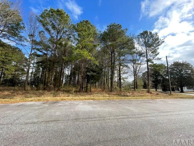 0 New Road Columbia, NC 27925 - Photo 2 of 15 Gallery Image 2