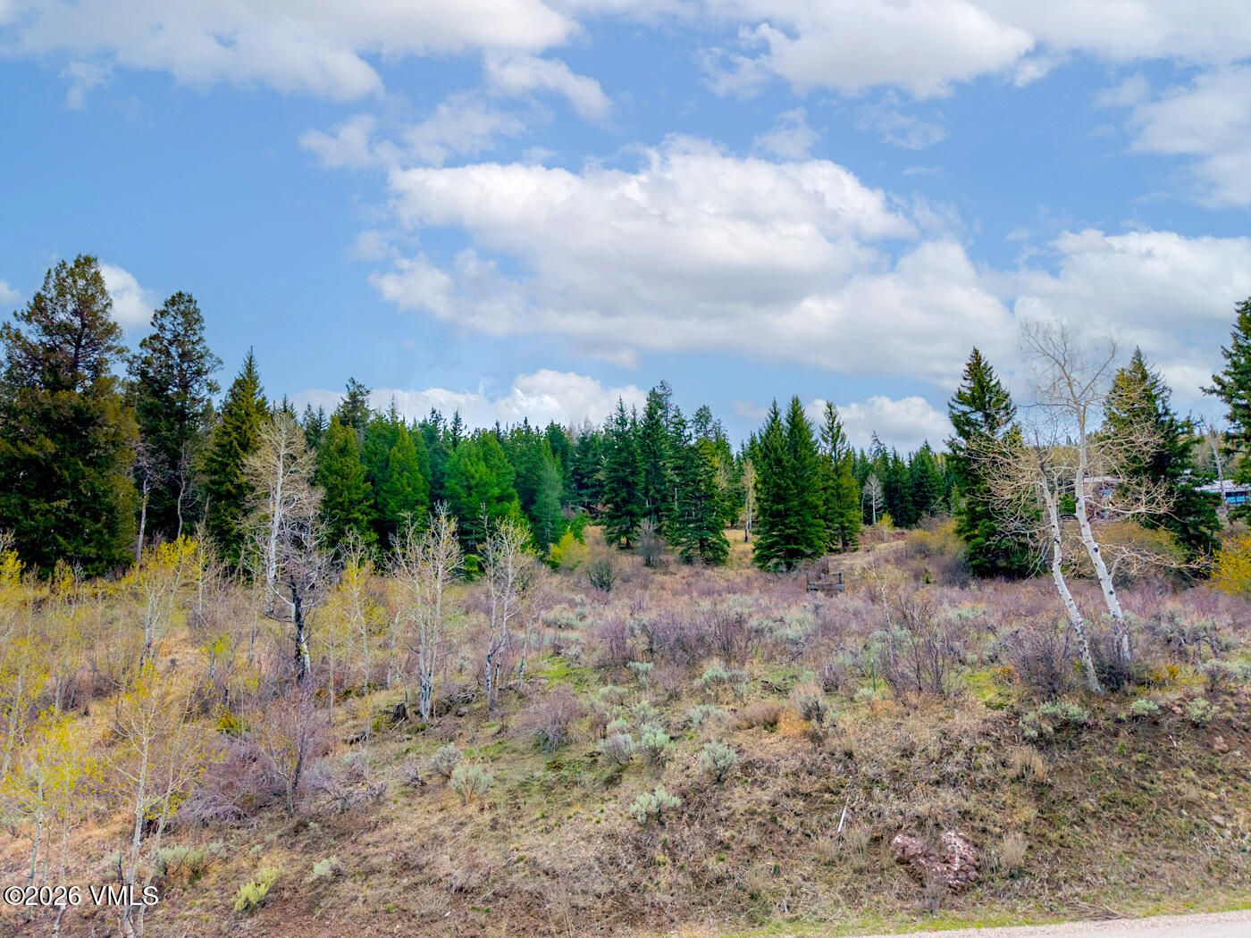 341 Graham Road Edwards, CO 81632 - Photo 4 of 7 341 Graham Rd MLS-11
