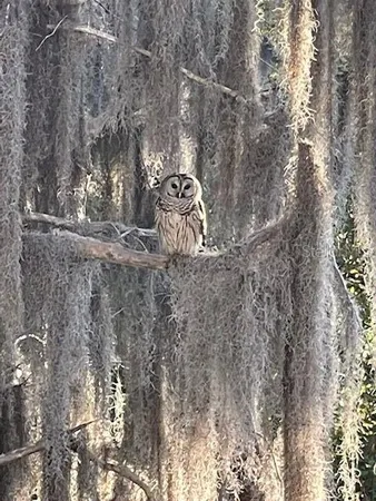 $275,000 | 2533 Dolly Bay Drive, Unit 203, Palm Harbor, FL 34684