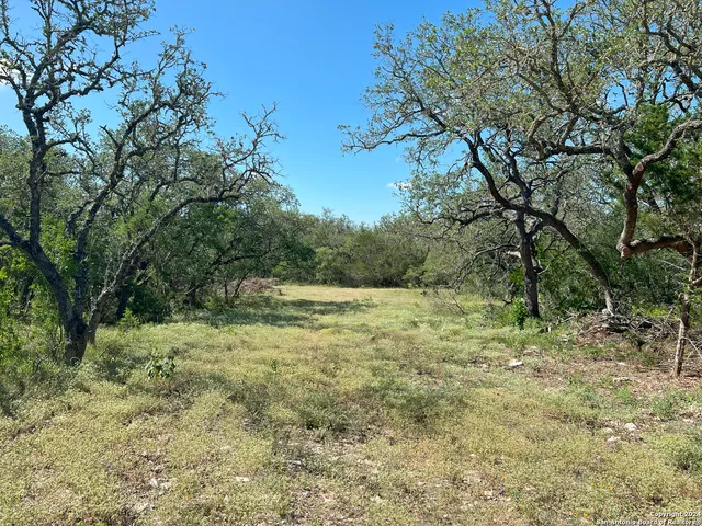 a big yard with lots of green space and plants