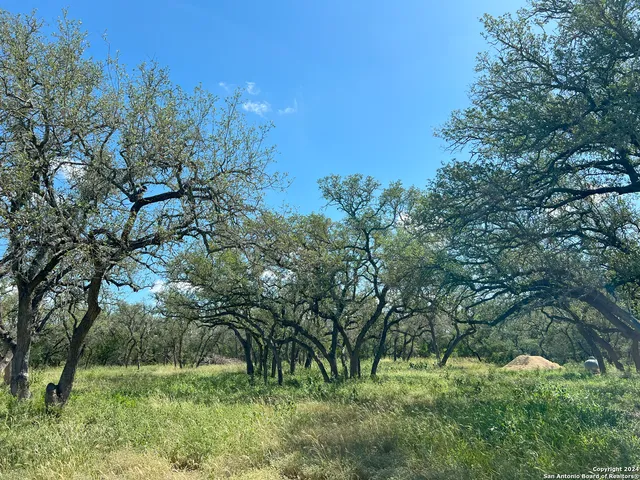 a big yard with lots of green space and house in the back