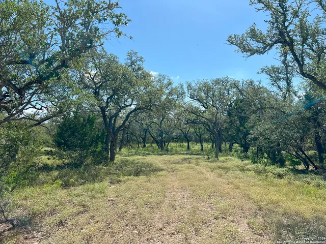 a view of outdoor space with trees all around
