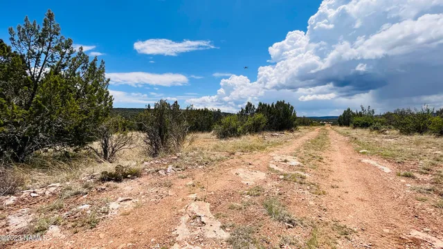 $130,000 | 64525 North Flaming Star Drive, Seligman, AZ 86337