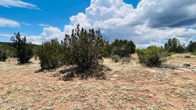 $130,000 | 64525 North Flaming Star Drive, Seligman, AZ 86337