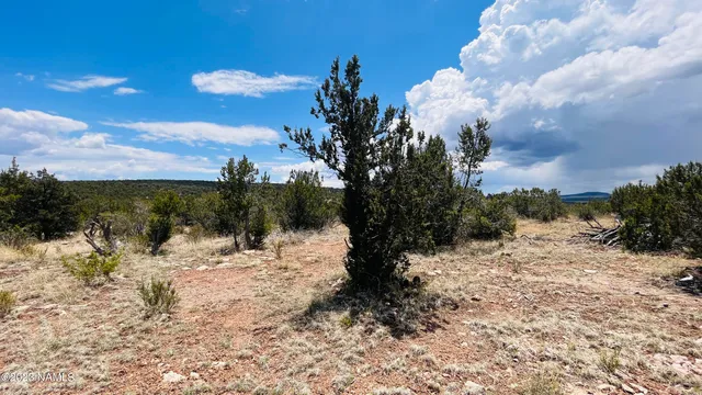 $130,000 | 64525 North Flaming Star Drive, Seligman, AZ 86337