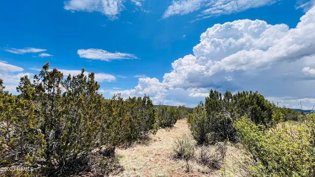 $130,000 | 64525 North Flaming Star Drive, Seligman, AZ 86337