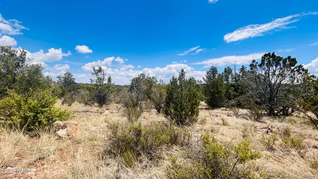 $130,000 | 64525 North Flaming Star Drive, Seligman, AZ 86337