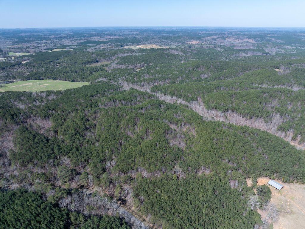 15201 Co Road Carbon Hill, AL 35549 - Photo 15 of 46 Gallery Image 15