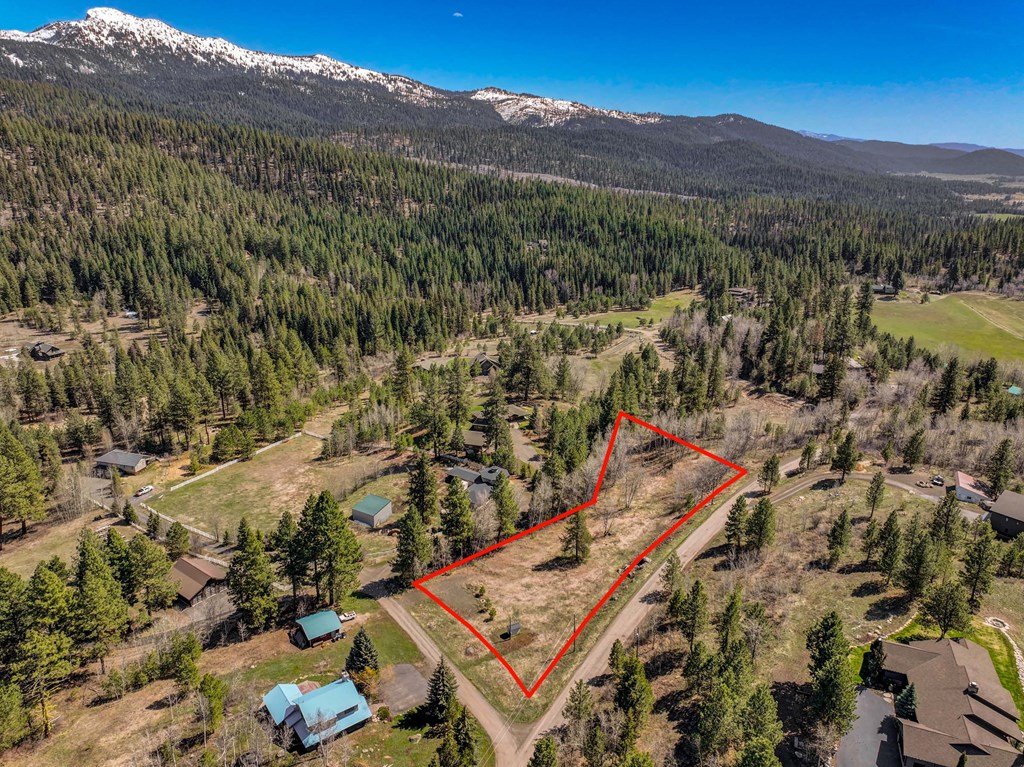 Tbd Morell Road McCall, ID 83638 - Photo 18 of 22